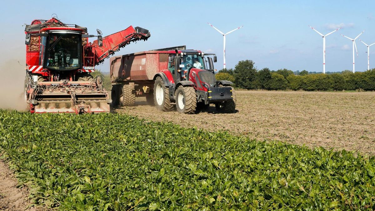 Santa Catarina movimenta mais de R$ 7,5 milhões em contratos com microempreendedores e agricultores familiares