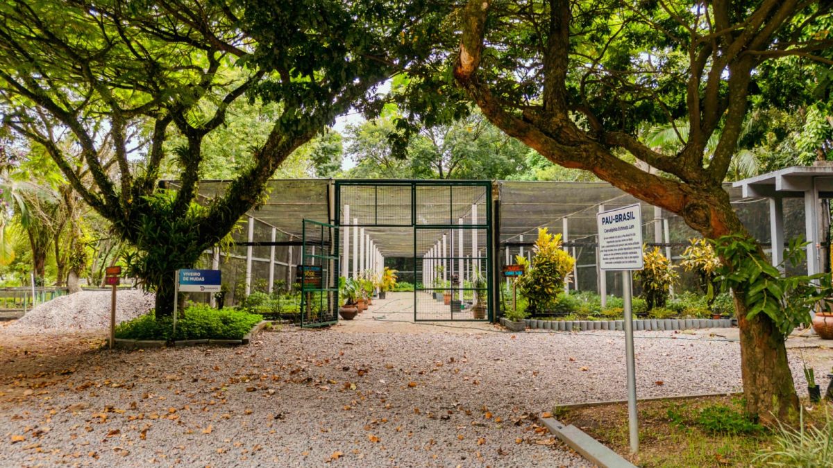 Cultivando sustentabilidade e educação ambiental