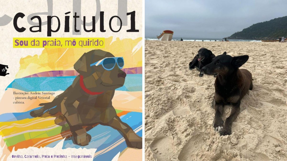 ‘Sou da Praia’: Editora lança livro em que cão Orelha conta sua história em Florianópolis