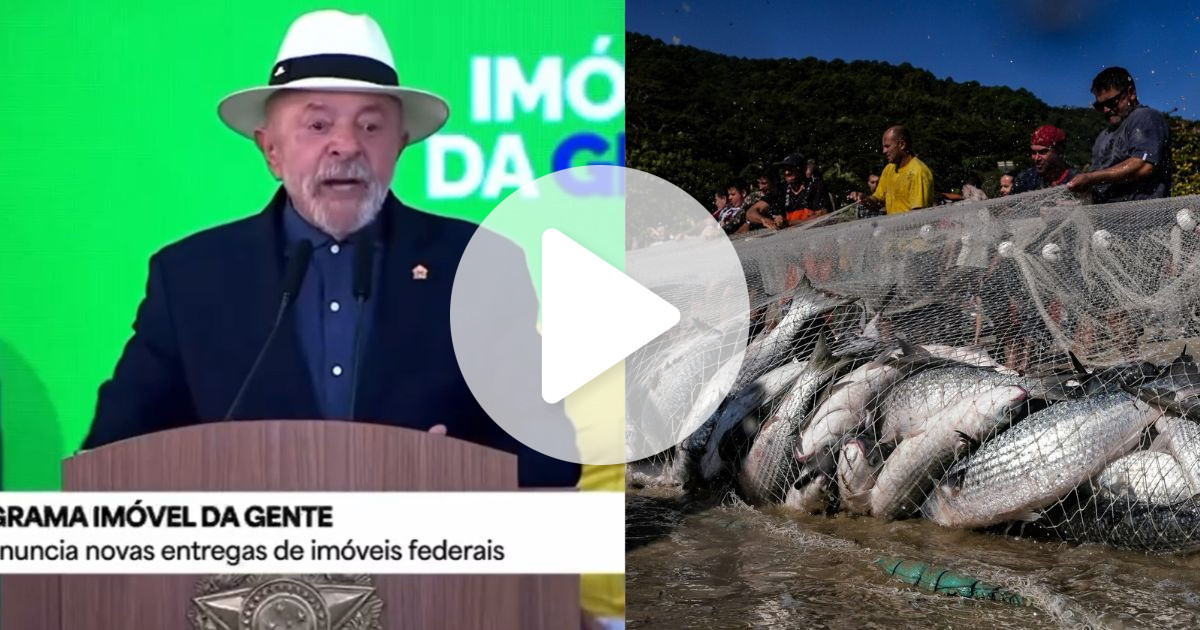 ‘Se veio peixe demais, aumenta a cota’: Lula explica decisão sobre a pesca da tainha em SC