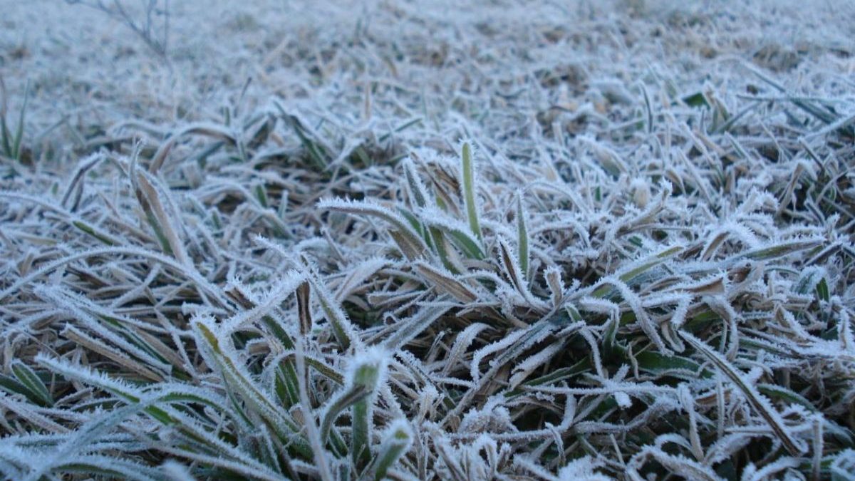 Não é só frio: massa de ar polar traz risco de chuva congelada e geada forte em duas