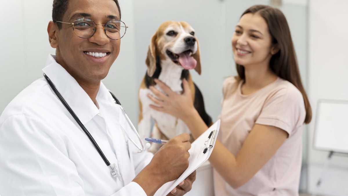 Quer ser médico veterinário? Saiba como atuar no agronegócio e com animais de diferentes portes