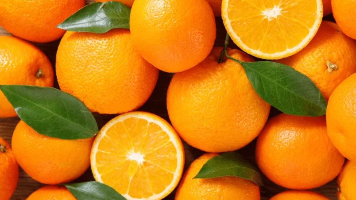 Esta região é responsável por 8 em cada 10 laranjas produzidas em SC