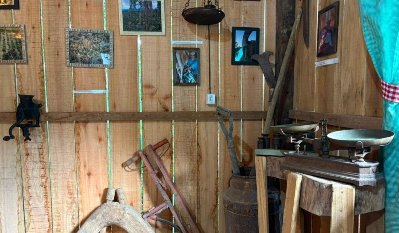 Rancho que antes fazia parte da secagem dos grãos virou um pequeno museu com a história do Café Leopoldo - Alice Kienen/ND Mais