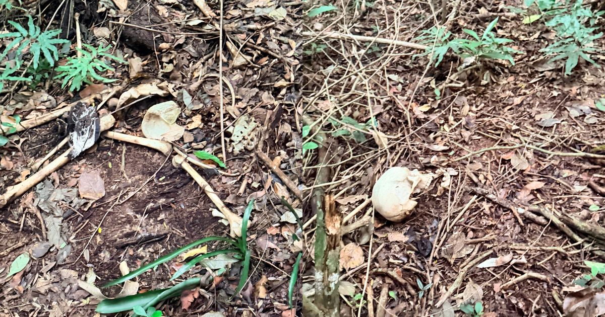 Ossada é achada em área de difícil acesso em na Praia BravaFoto: PMSC/Divulgação/ND Mais