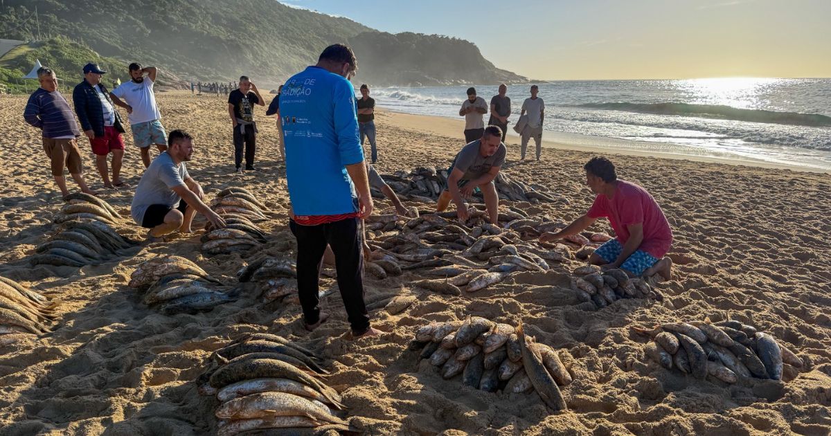 Balneário Camboriú reage ao fim da pesca da tainha em SC: ‘Centenas sem o ganha-pão’