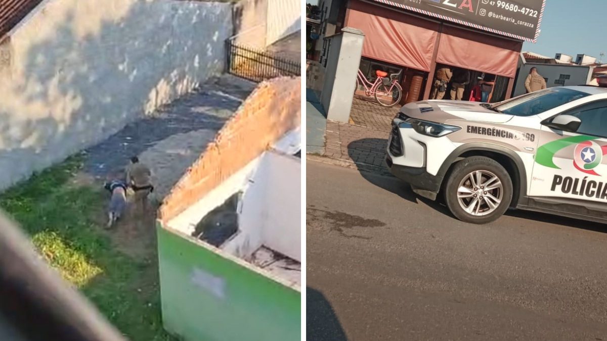 Mordida de cachorro e morte: perseguição mobiliza PM após homicídio em Joinville