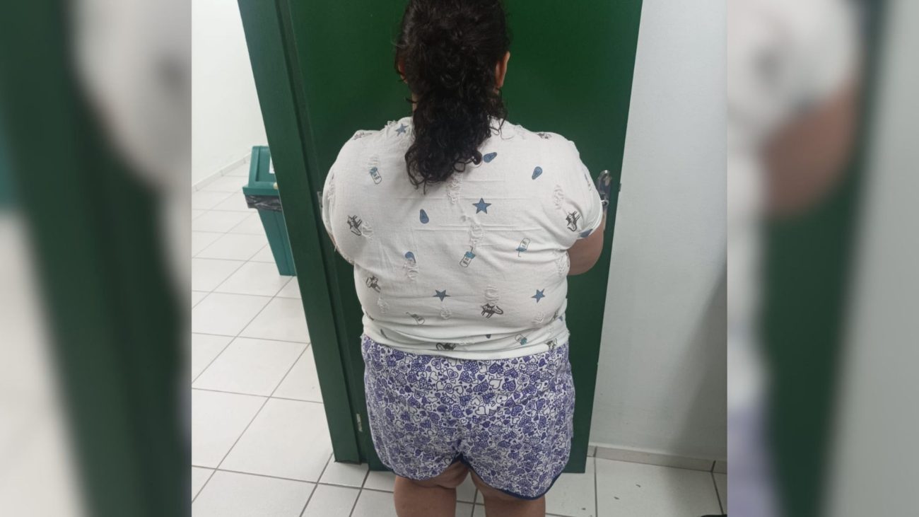 Mulher que fingiu ter 12 anos em Joinville e enganou família por mais de um anoFoto: Divulgação/Polícia Civil de Santa Catarina/ND Mais