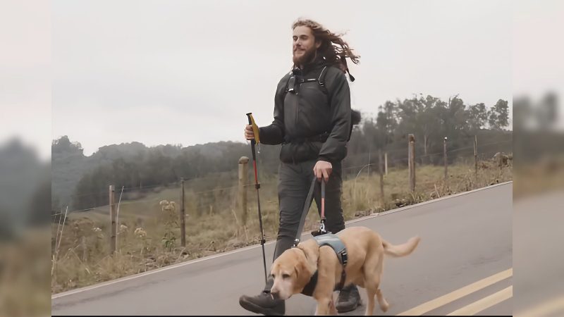 Recusa de cão-guia no Uber pode causar desativação permanente de conta de motorista de aplicativo - Samuel Luz Stumpf/tocasamuca/Instagram