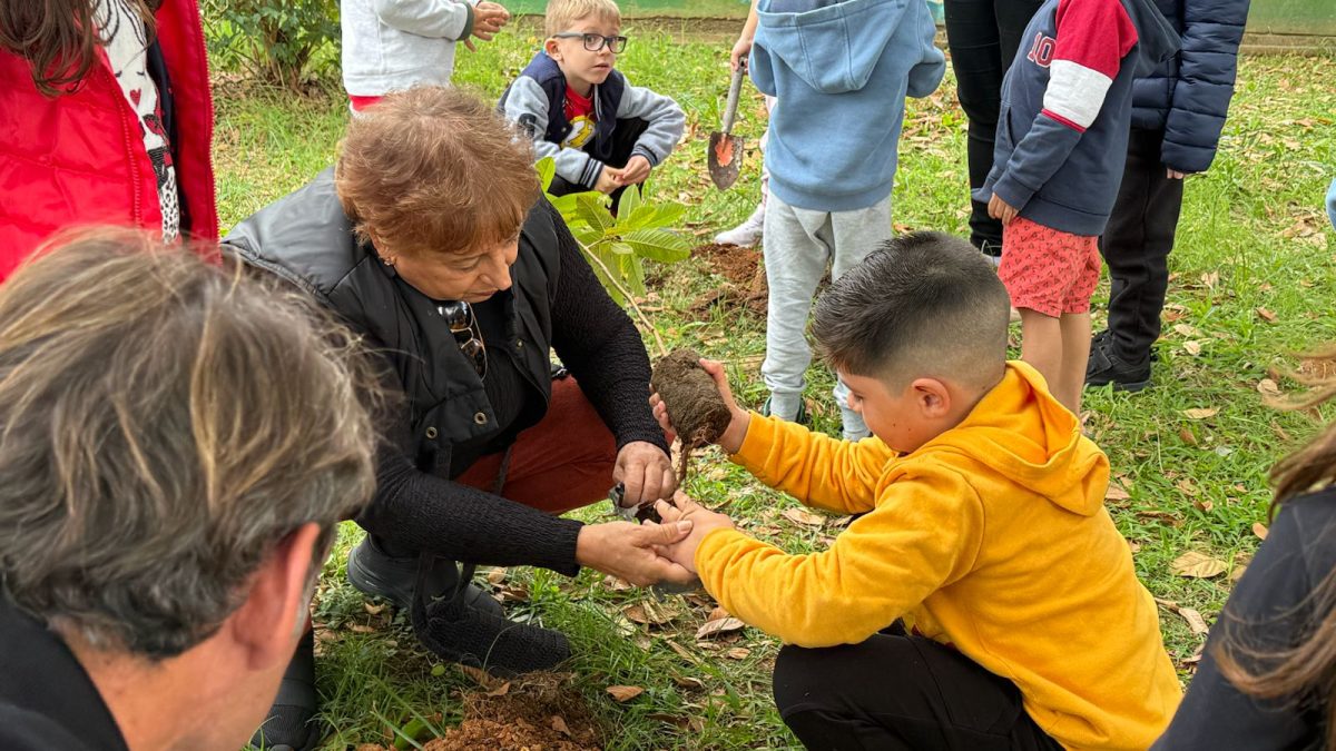Grupo ND promove plantio e doação de 630 mudas nativas durante a Semana do Meio Ambiente