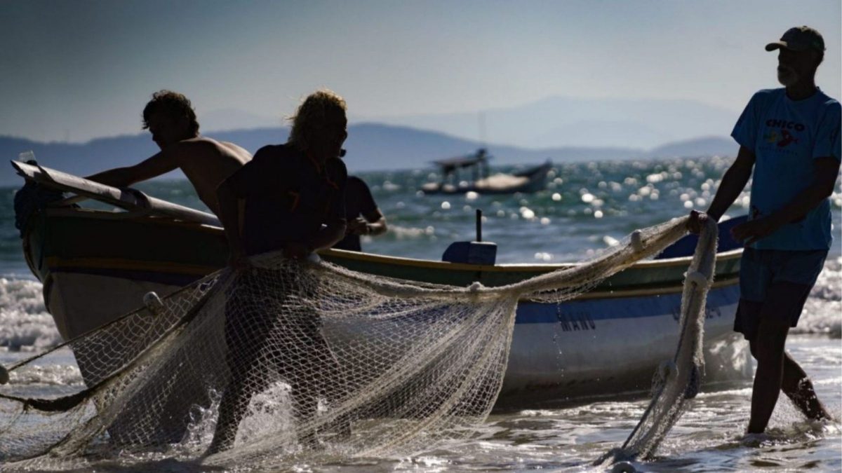 Fim da safra da tainha de arrasto: pescadores têm 24 horas para recolher barcos no Brasil