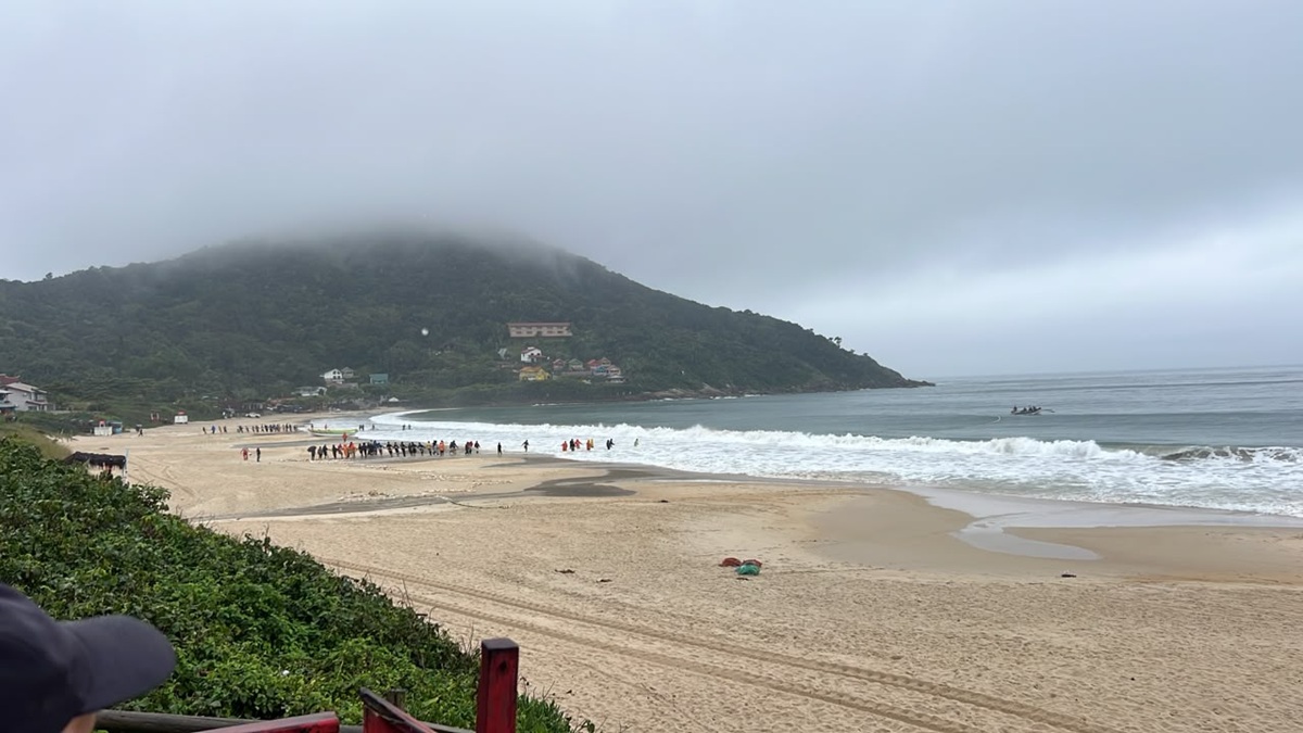 Redes voltaram ao mar e um megalanço foi realizado em BombinhasFoto: Arquivo Pessoal/ND Mais
