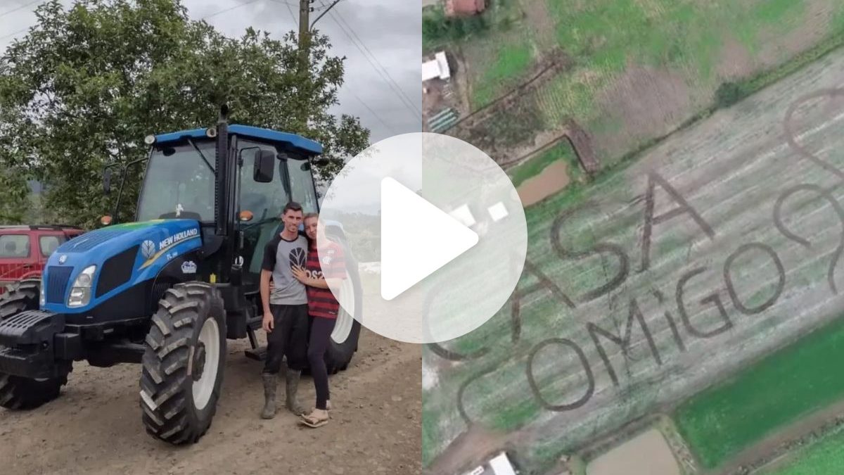 VÍDEO: Pedido de casamento com mensagem gigante em plantação impressiona em SC