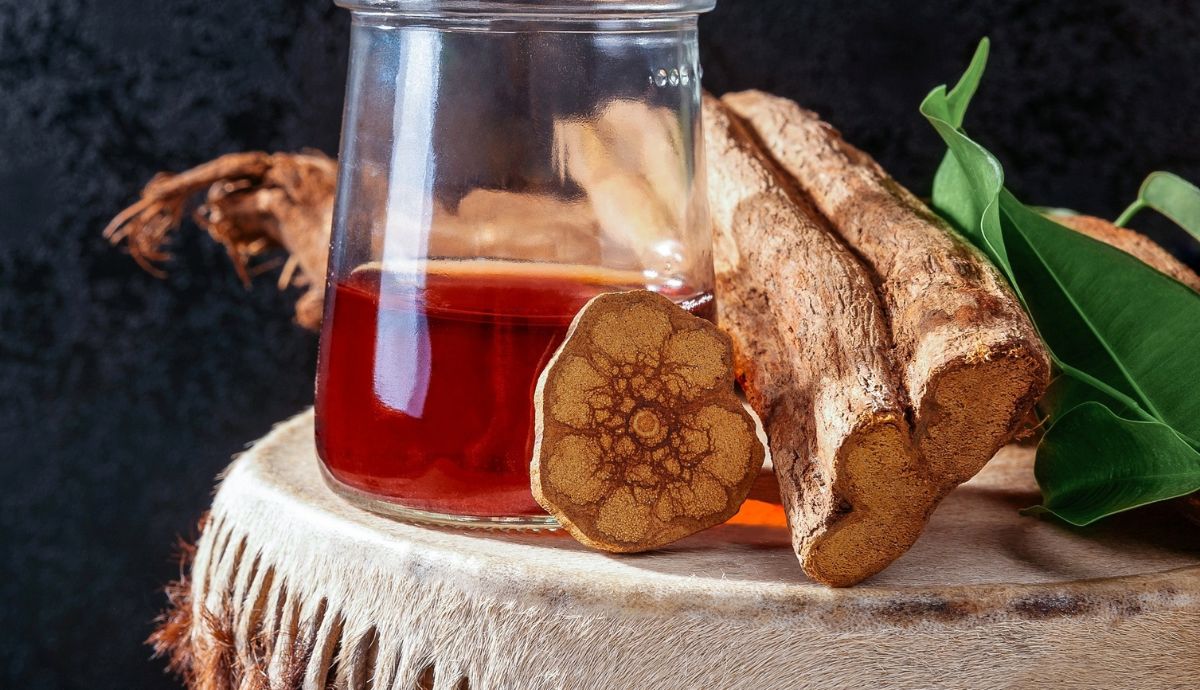 chá de ayahuasca