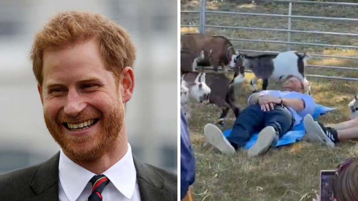 ‘Joias da Coroa’: Príncipe Harry leva chute de cabra nas partes íntimas durante evento e vídeo viraliza