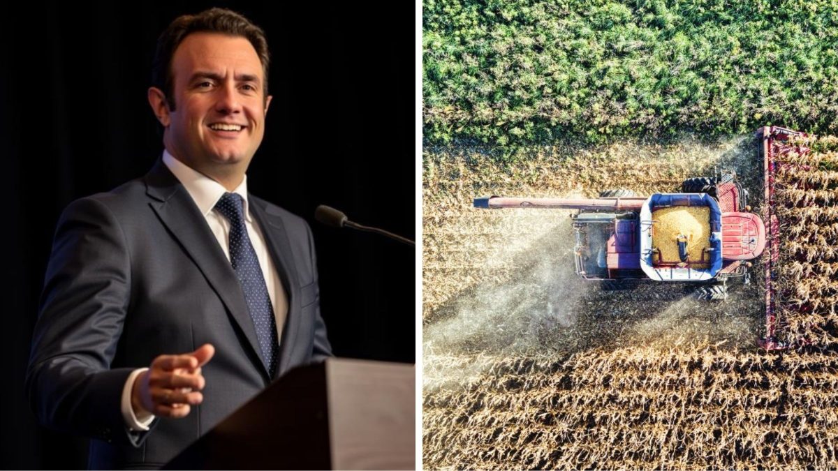 Pré-candidato ao Senado pelo PRD em SC propõe teto de 12% nos juros rurais para ‘socorrer’ o agro catarinense - QTU Questões do Universo