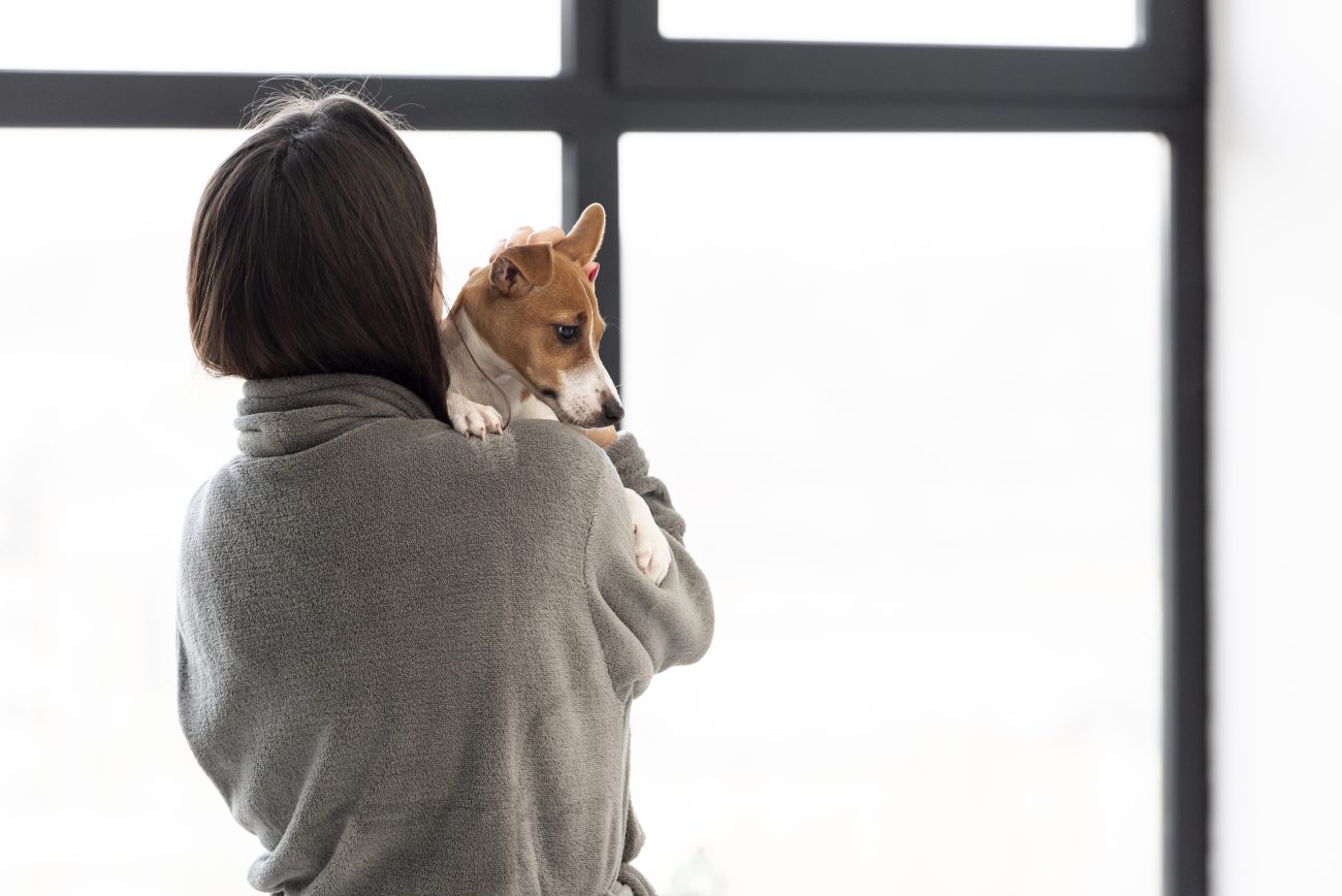 Entender as reações dos pets diante de frentes frias é o primeiro passo para garantir o bem-estar animal durante eventos climáticos severosFoto: Magnific/ND Mais