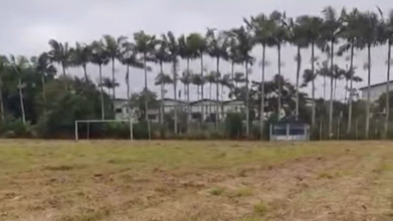 Após perder campo histórico, Aviação FC faz campanha para voltar às origens e recuperar sede em Joinville - Reprodução/ND Mais