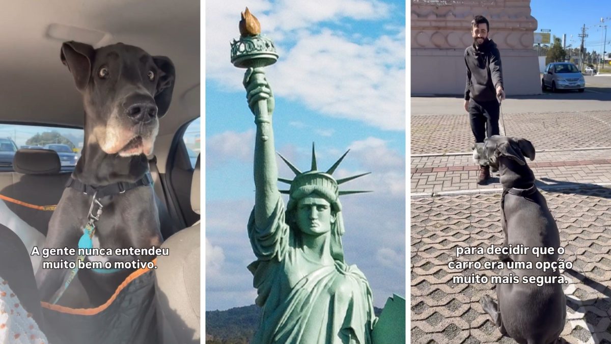 Cão-gigante viraliza nas redes sociais por ter ‘medo’ da estátua da Havan; vídeo mostra