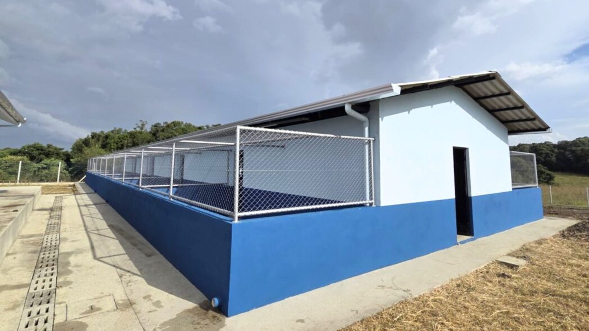 Abrigo de R$ 622 mil é inaugurado em SC mas nunca foi usado para receber animais - QTU Questões do Universo