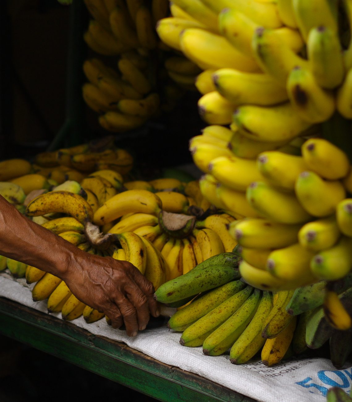 A defesa agropecu�ria de Santa Catarina monitora res�duos em hortifr�tis e controla doen�as em rebanhos para assegurar a qualidade dos alimentos no estado.