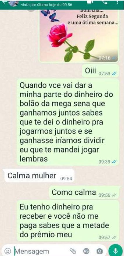Conversa entre o casal sobre divisão do prêmio da Mega-Sena de R$ 117 milhões em BlumenauFoto: Arquivo pessoa/ND Mais