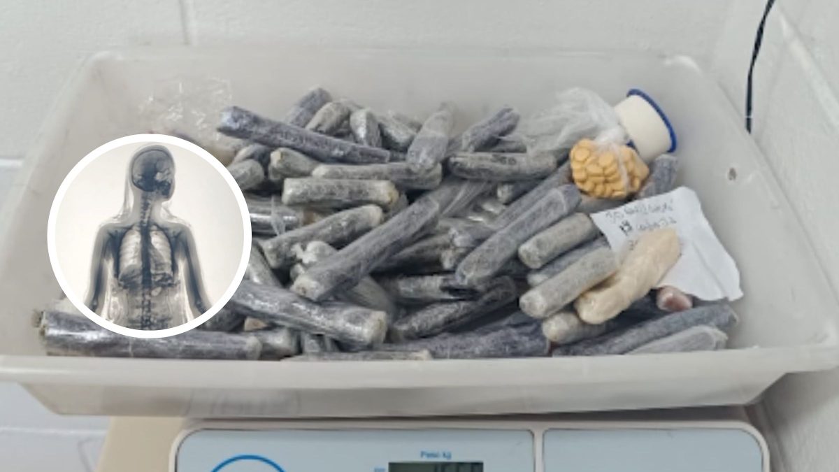 Profissional da educação é flagrada com materiais ilícitos ao tentar entrar em penitenciária de SC - QTU Questões do Universo