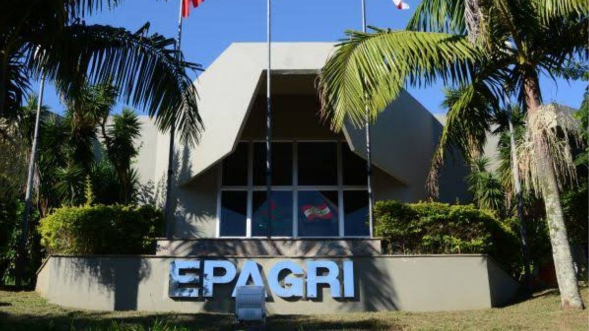 Epagri em SC: PDV Supera Metas e Gera Alerta de Contas
