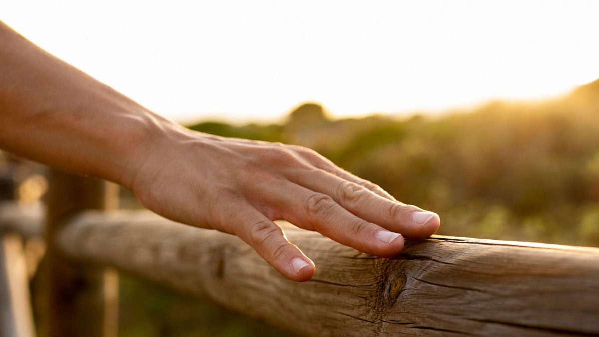 Wabi-Sabi: Filosofia milenar que combate estresse e protege a saúde mental