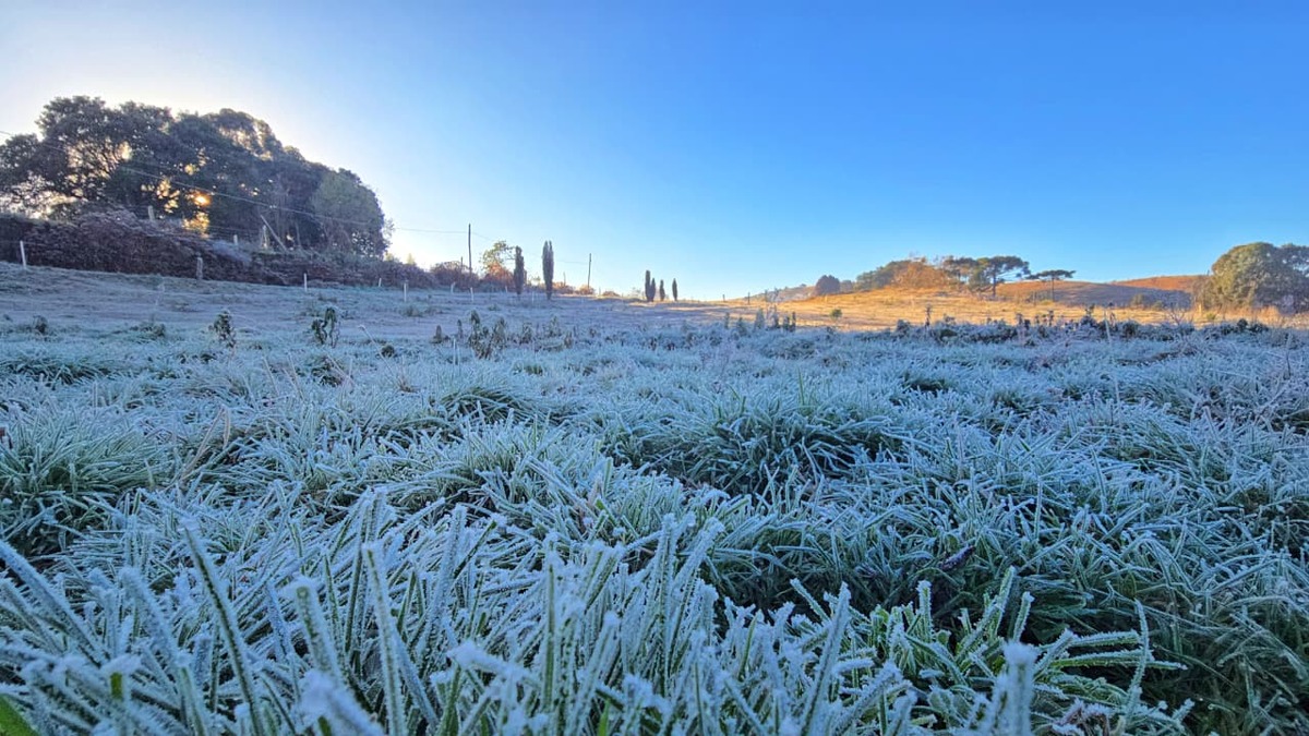 Frio Intenso Retorna ao Sul com Nova Frente Fria em SC