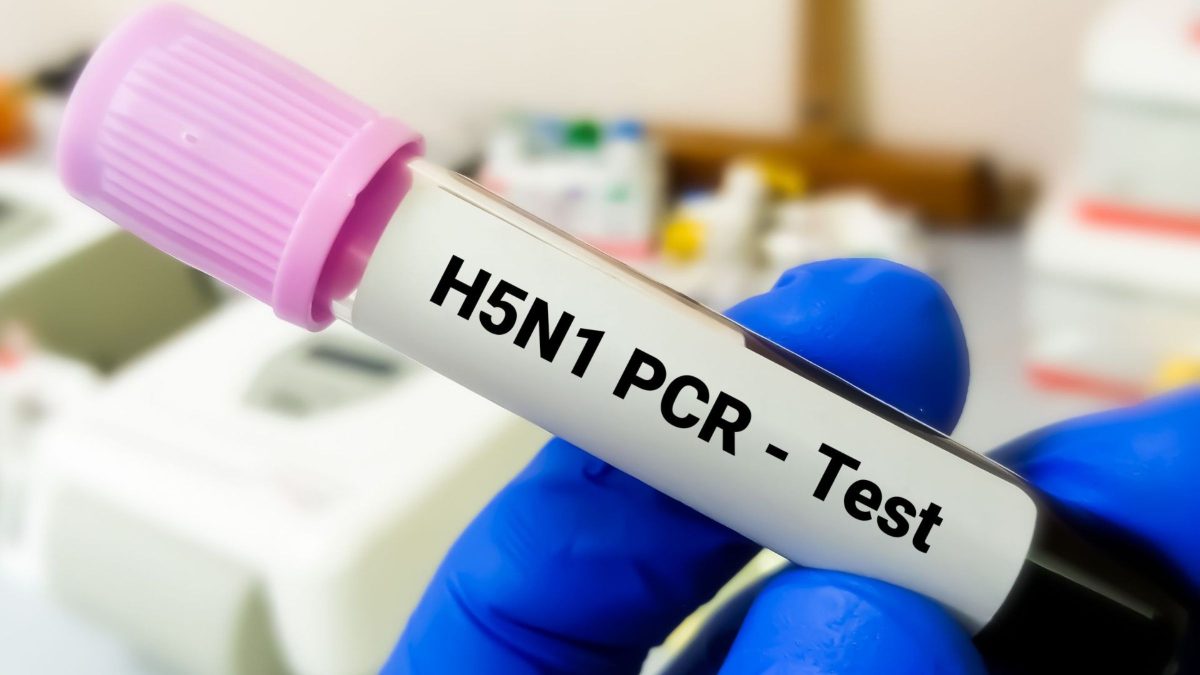 Gripe Aviária H5N1 Atinge Espécie Nativa da Austrália Pela Primeira Vez