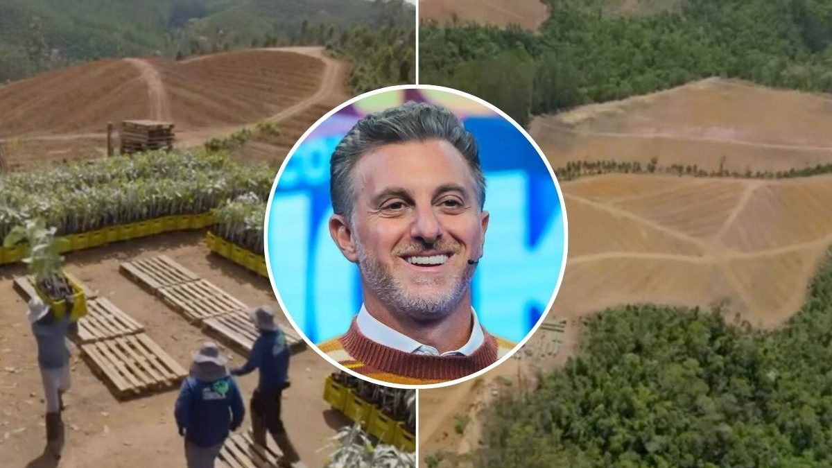 Luciano Huck investe no agronegócio e transforma fazenda do tamanho de 35 campos de futebol em plantação de avocado