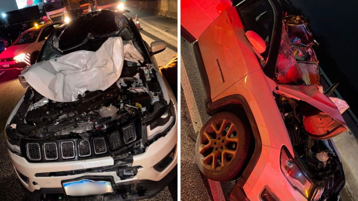 Cavalo solto invade BR-101, provoca acidente e deixa três feridos em SC; ‘Foi livramento’ Cavalo solto invade BR-101, provoca acidente e deixa três feridos em SC; ‘Foi livramento’