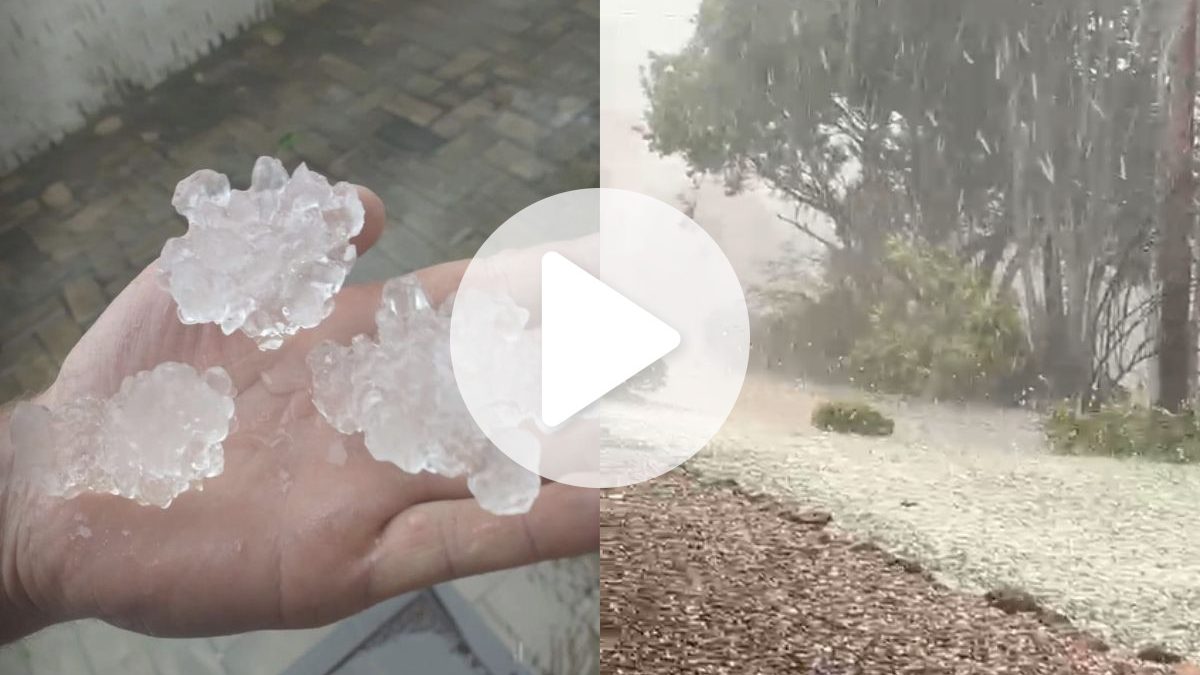Temporal de granizo destrói mais da metade da safra de cebola e leva cidade de SC a decretar situação de emergência - QTU Questões do Universo