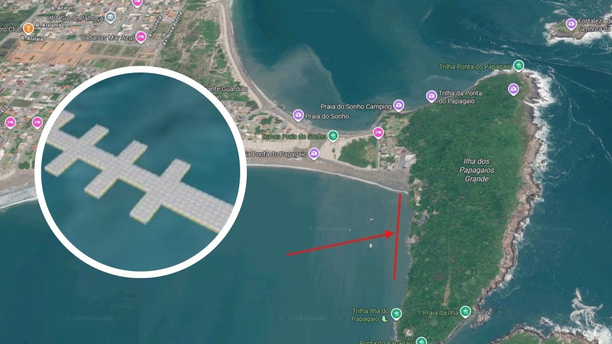 Cidade de SC investe R$ 1,1 milhão em plataformas flutuantes nas praias; confira onde será instalada a primeira - QTU Questões do Universo