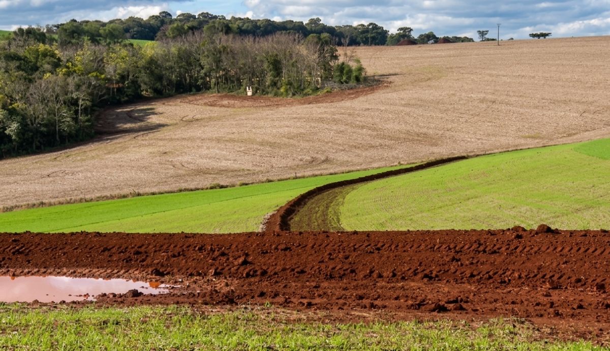 Excesso de umidade pode favorecer doenças e aumentar os riscos de perdas nas lavouras.Foto: Amauri Salles/NDTV Record/ND Mais