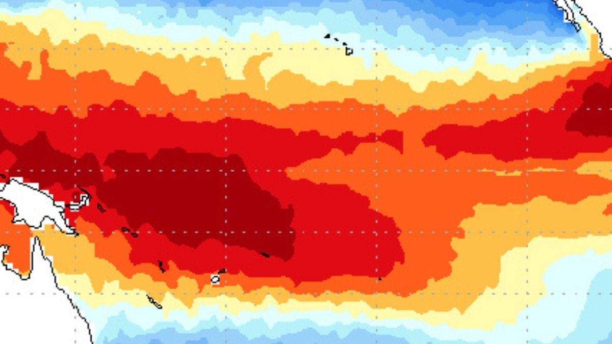 Dia dos Pais sem frio? El Niño pode ‘roubar’ o restante do inverno e manter temperaturas acima da média - QTU Questões do Universo