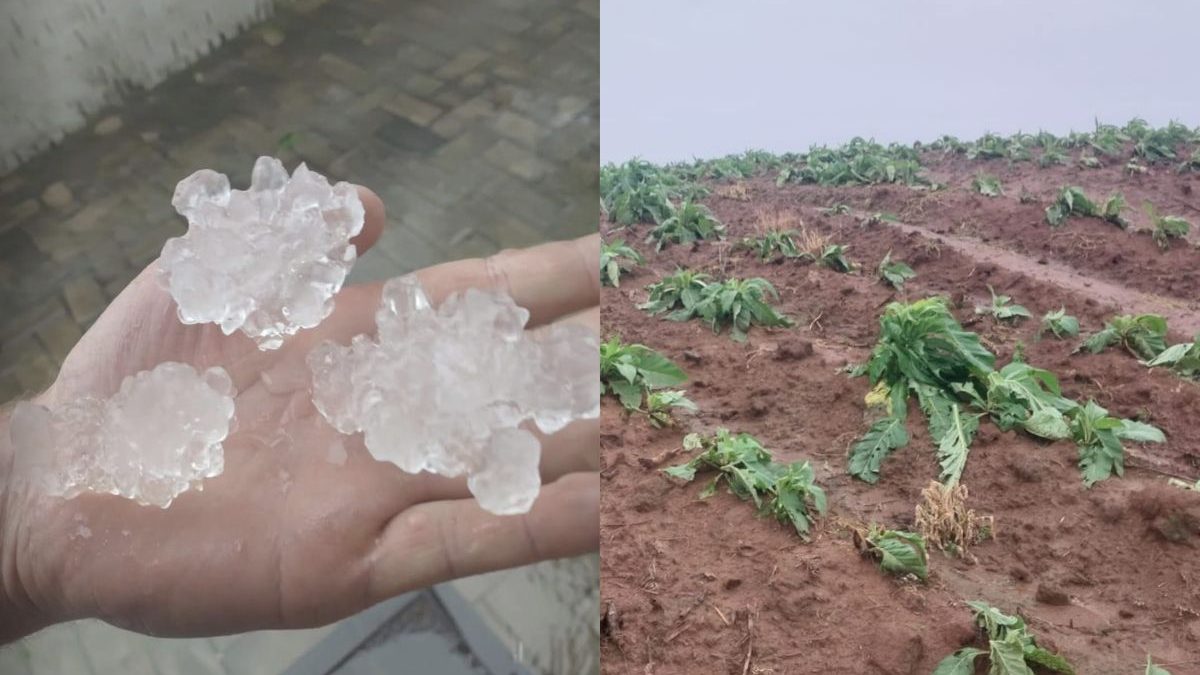 Temporal com granizo destrói área equivalente a 2,9 mil campos de futebol e causa prejuízo de R$ 155 milhões em cidade de SC - QTU Questões do Universo