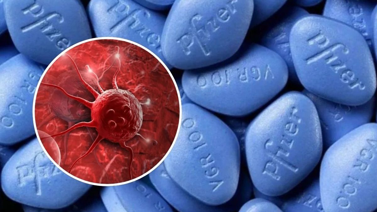 Viagra vira ‘arma’ contra câncer freando o avanço da doença pelos órgãos, mostra estudo com 40 mil casos - QTU Questões do Universo