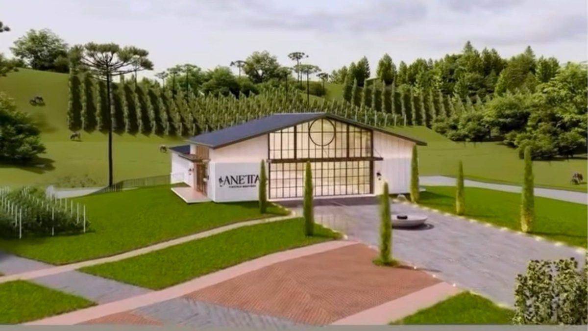 Cidade catarinense conhecida pela Uva Goethe aposta em vinícola para impulsionar o turismo - QTU Questões do Universo