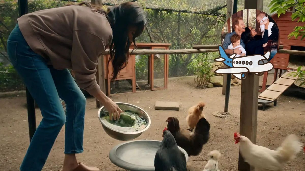 11 galinhas de Meghan Markle e Prince Harry ficam para trás após a mudança da família para o Reino Unido, mas uma decisão sobre as aves muda tudo: elas não irão junto - QTU Questões do Universo