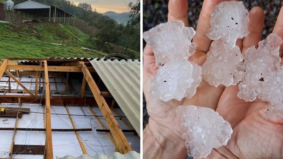 ATENÇÃO, MORADOR! Granizo destrói telhados de 70 casas em SC