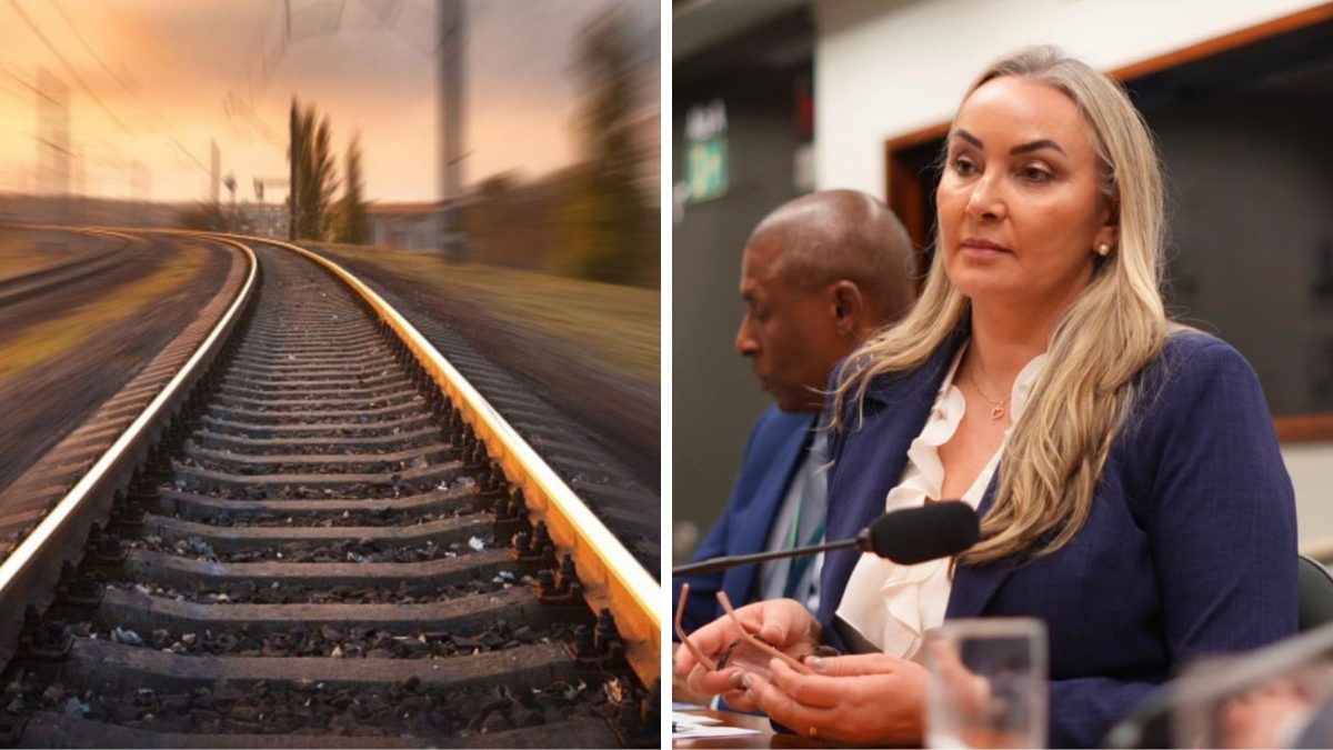 Deputada catarinense encabeça debate sobre reativação e ampliação de ferrovias no Brasil