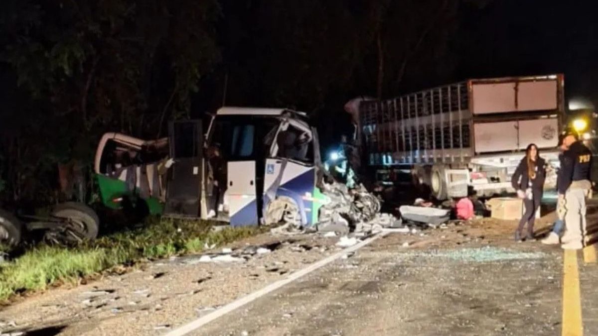 Micro-ônibus levava pacientes para hospitais antes de acidente com 23 mortos na BR-373