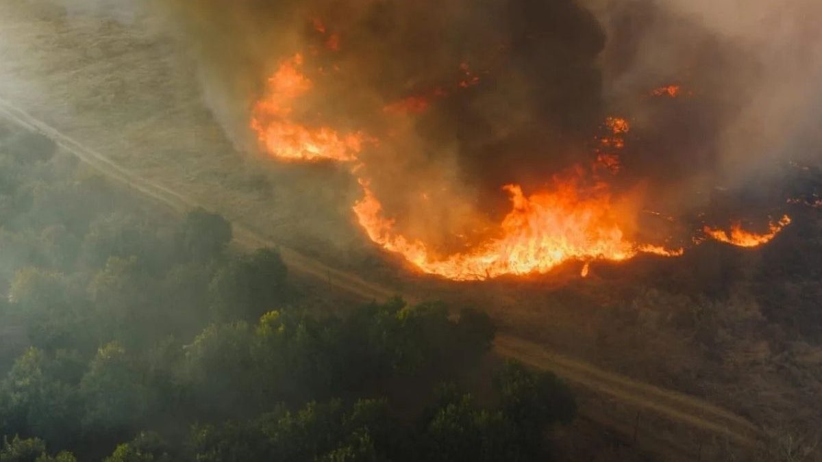 El Niño: governo Lula coloca 399 municípios sob alerta para incêndios em setembro e outubro - QTU Questões do Universo