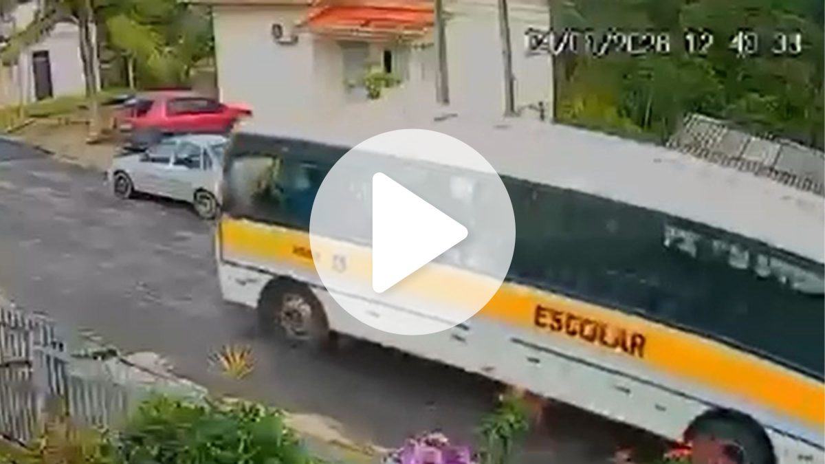 Motorista de ônibus escolar é afastado após atropelar cachorro durante o expediente em SC - QTU Questões do Universo