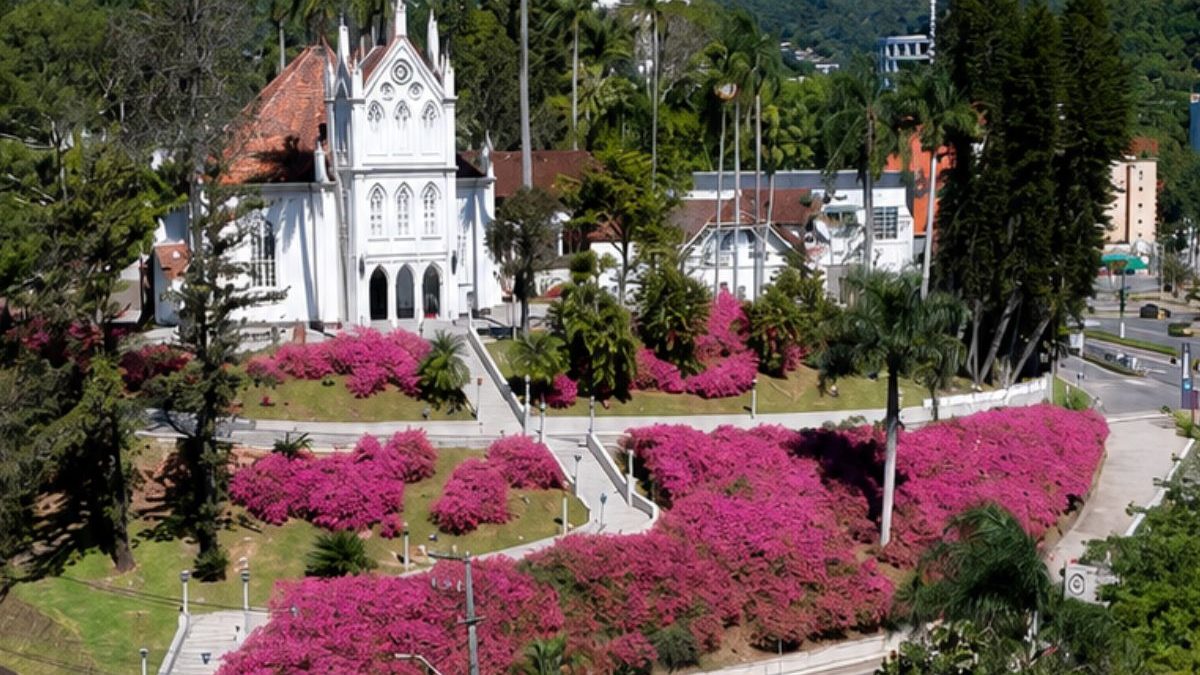 FOTOS: ‘Mar’ de azaleias transforma completamente igreja centenária em SC e cor das flores esconde significado ligado à fé luterana mundial - QTU Questões do Universo