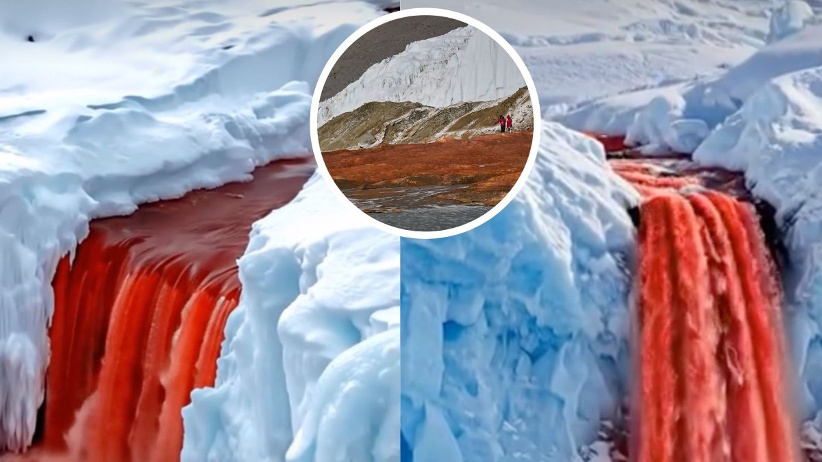 ‘Cachoeira de sangue’ na Antártida esconde ecossistema com ecologia microbiana viva há mais de 1,5 milhão de anos - QTU Questões do Universo