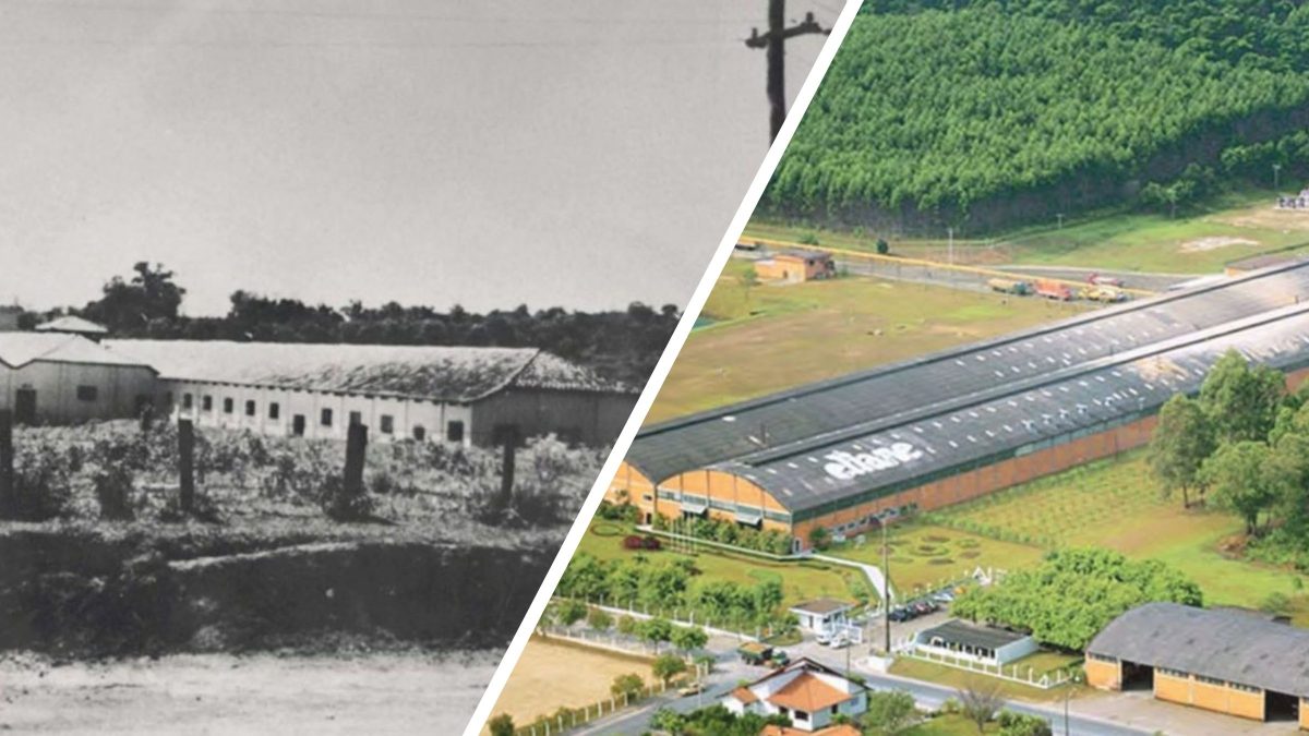 Empresário criou gigante bilionária da cerâmica após comprar indústria falida e