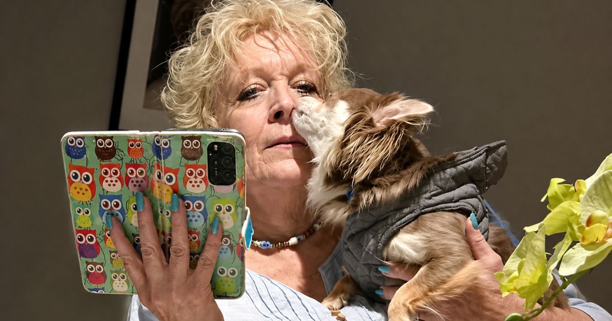 Incomodada com as patadas de seu cão, uma idosa decide procurar ajuda para entender o que estava acontecendo, até descobrir que exames revelaram que o cachorro havia encontrado um câncer em seus seios - QTU Questões do Universo